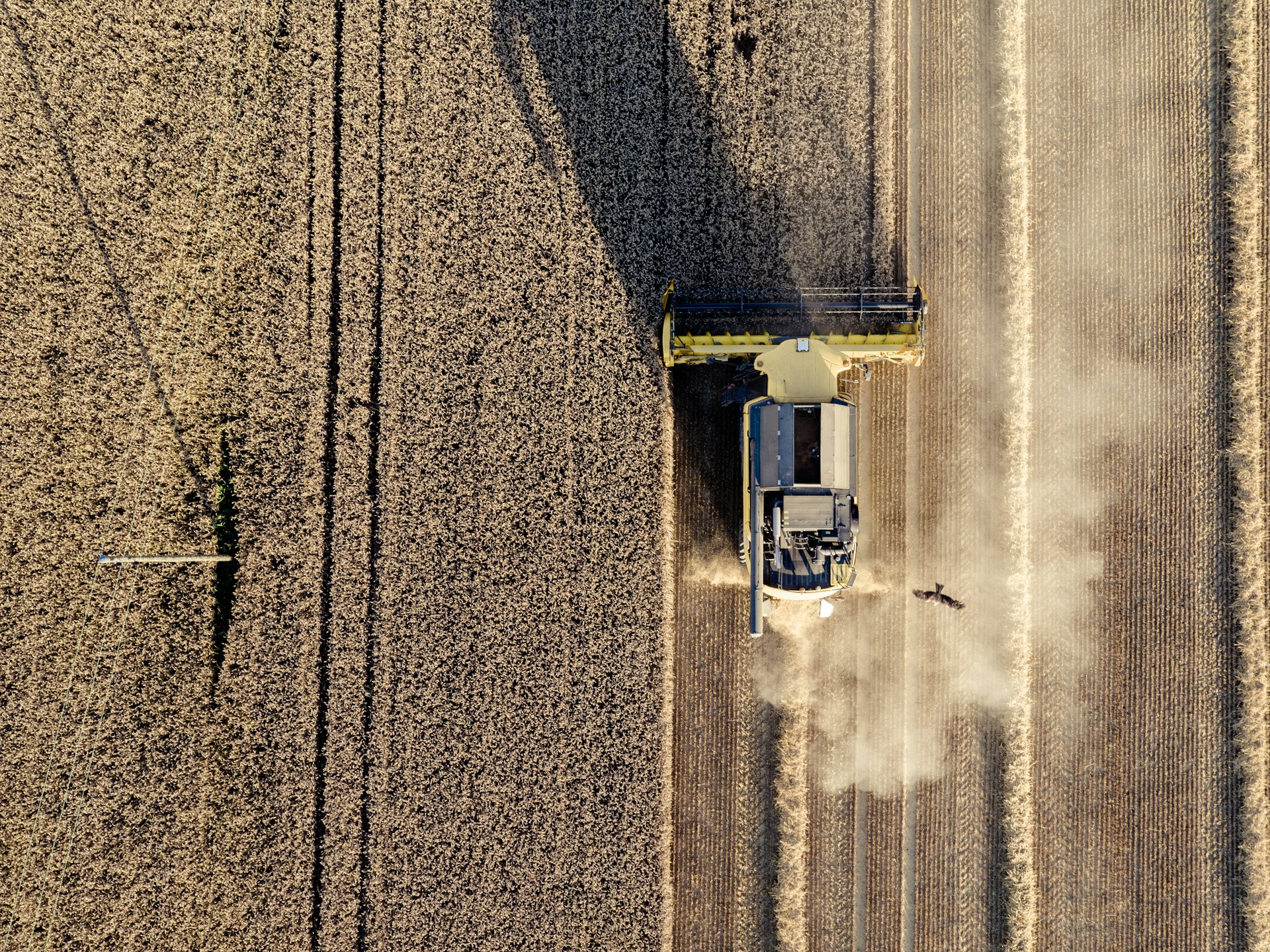 Vista aérea de campos agrícolas verdes