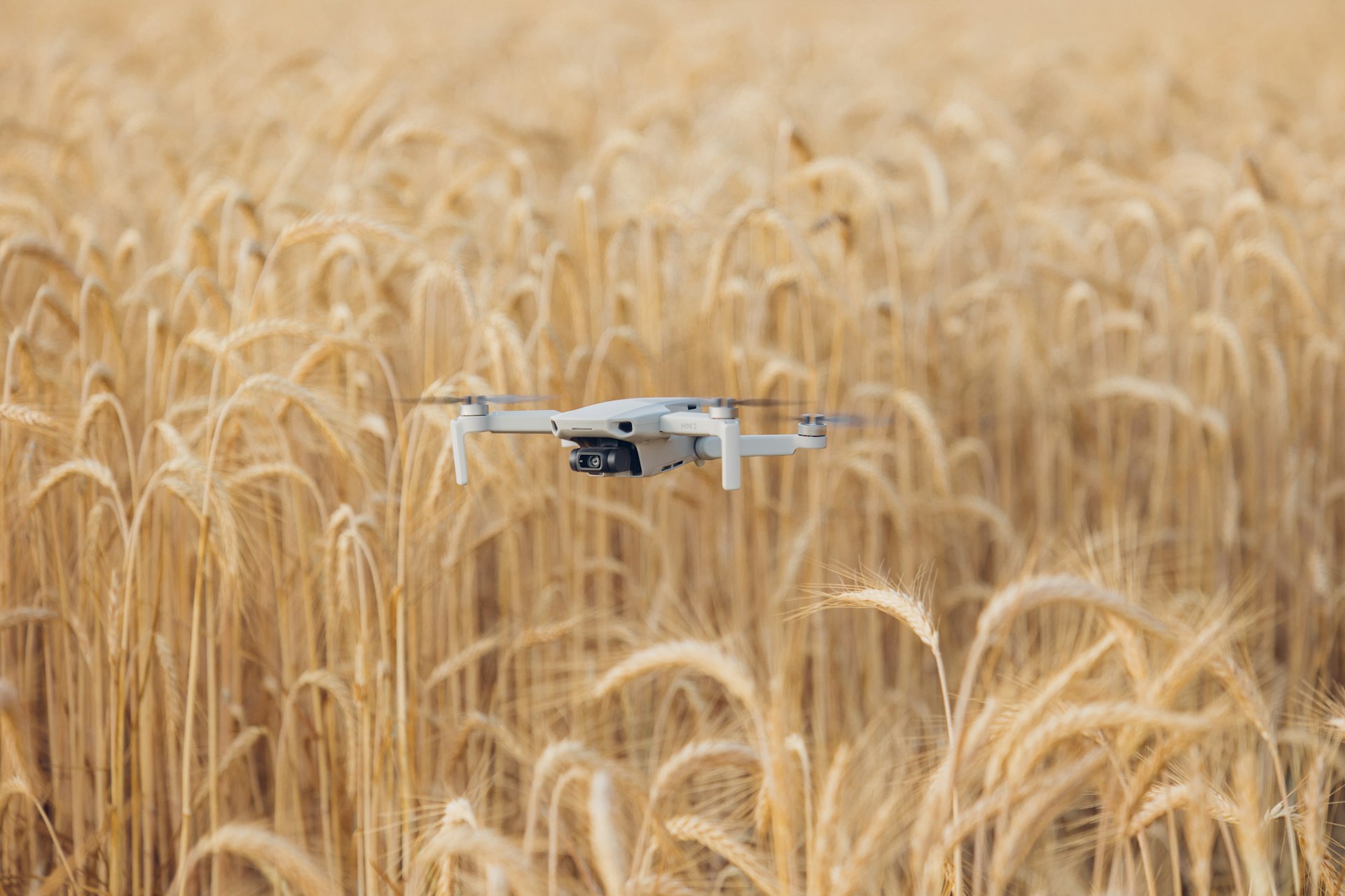 Vista aérea de campos agrícolas tomada con dron